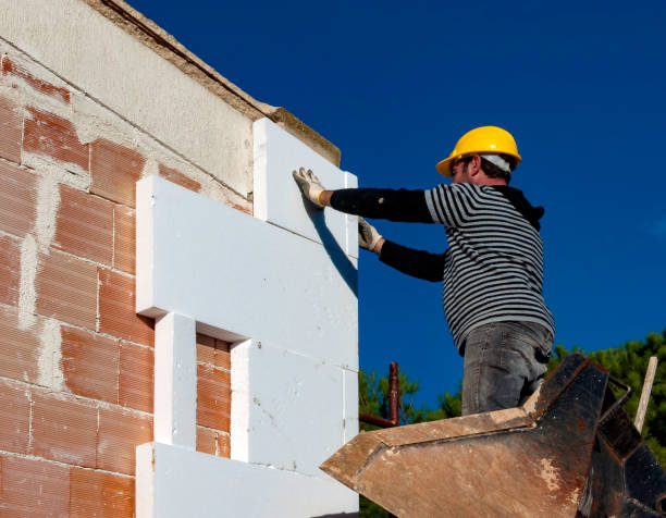Best Cellulose Insulation  in Covington, GA
